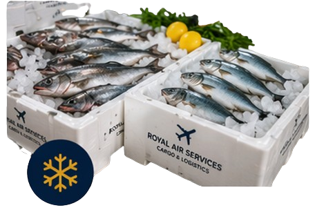 Poissons frais